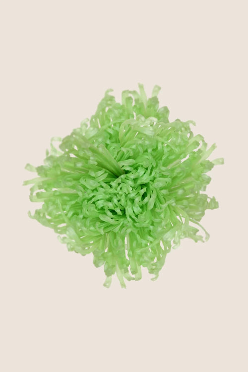 Anastasia Chrysanthemum - Box 3 heads