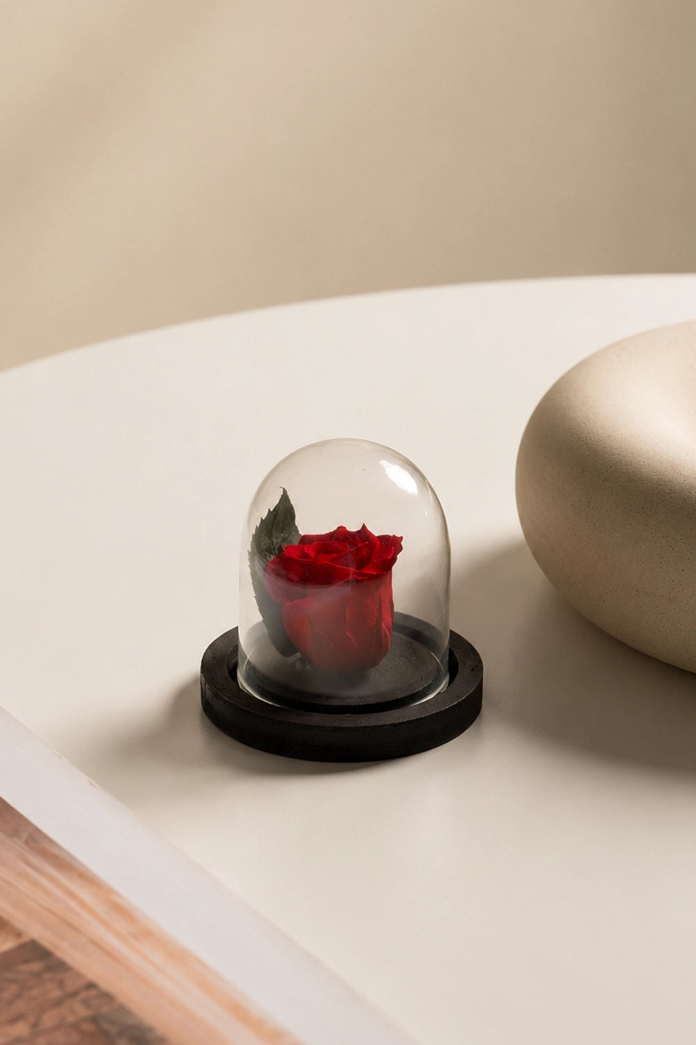 Mini Dome