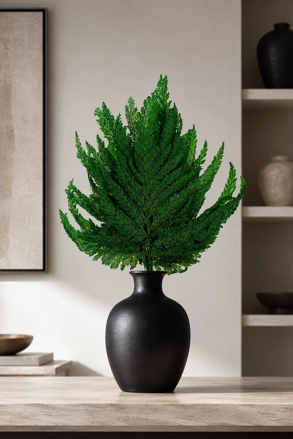 Plume Fern