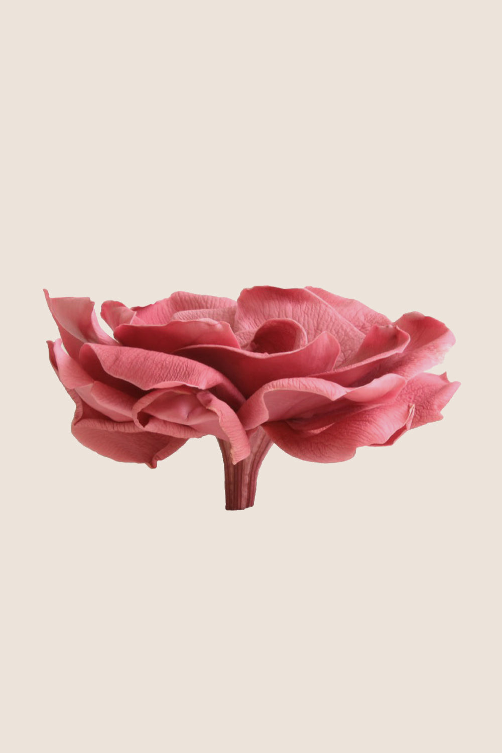 Gardenia - Box 3 heads