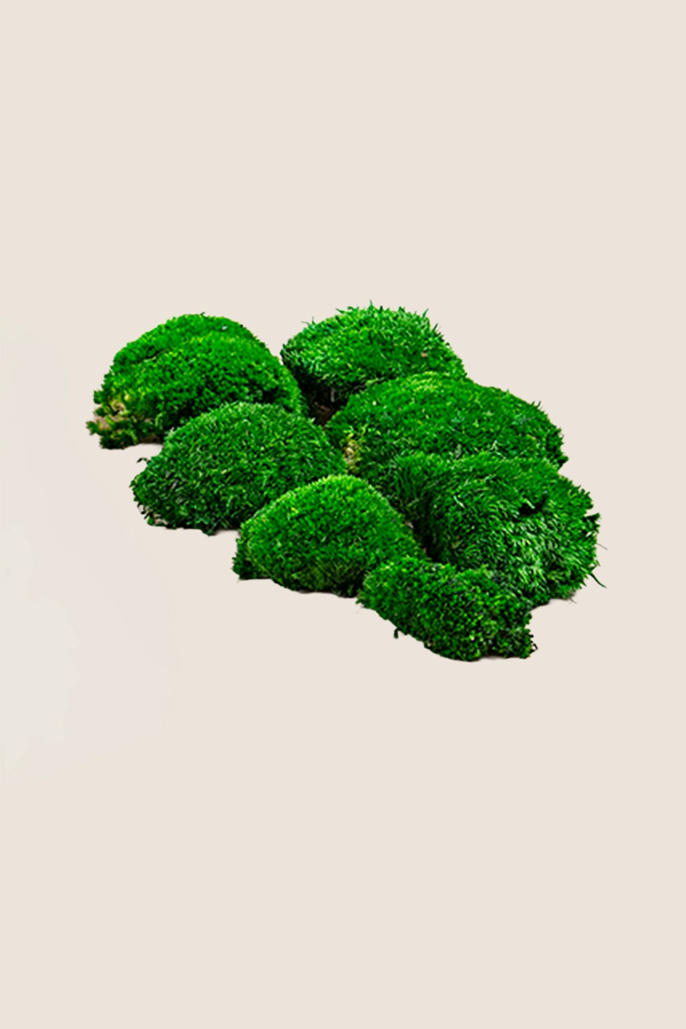 Polemoss - Bulk Box