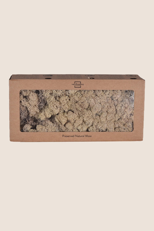 Lichen W-box