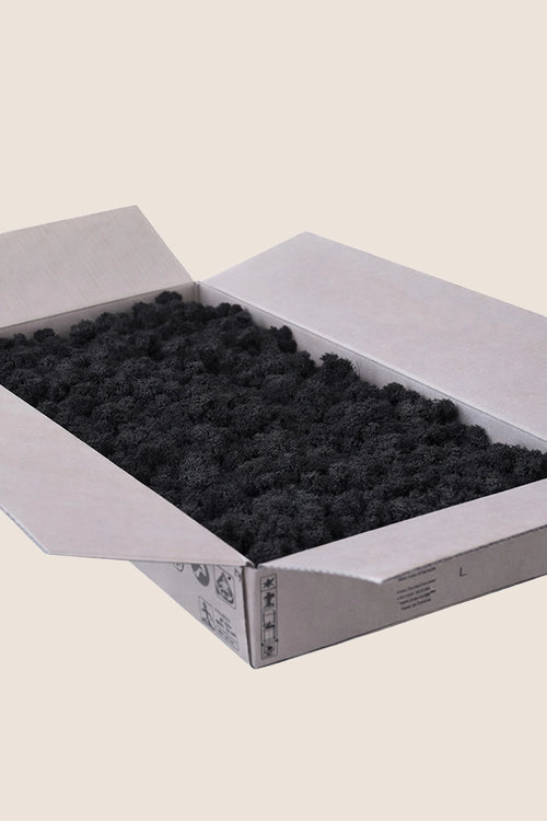 Liquen ~2Kg - Caja a Granel