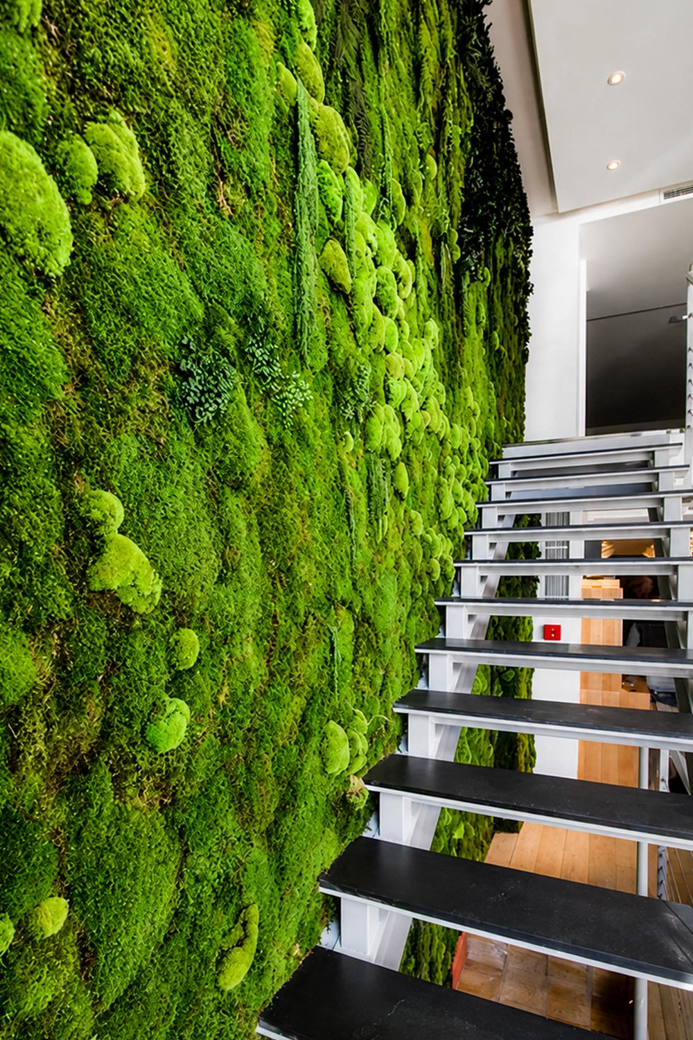Flat Moss - Bag