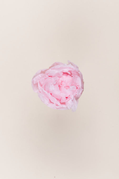 Peony - Box 3 heads