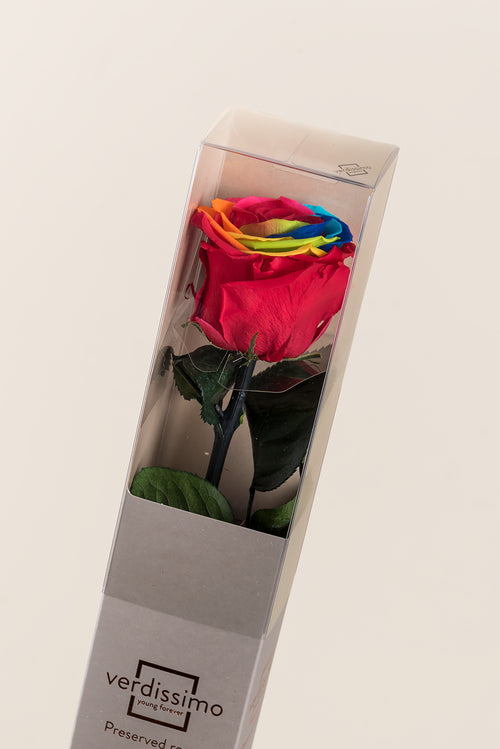Amorosa Standard Gift Box - Pack 20 u.