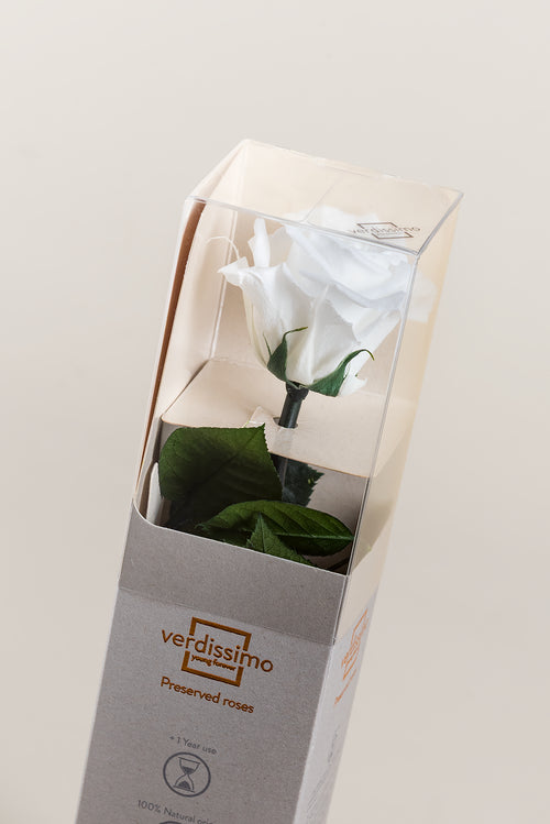 Amorosa Mini Gift Box - Pack 25 u.