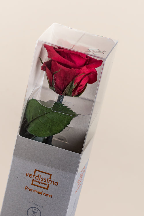 Caja de regalo Amorosa Mini - Pack 25 u.
