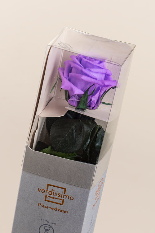 Amorosa Mini-Geschenkbox – Pack 25 u.
