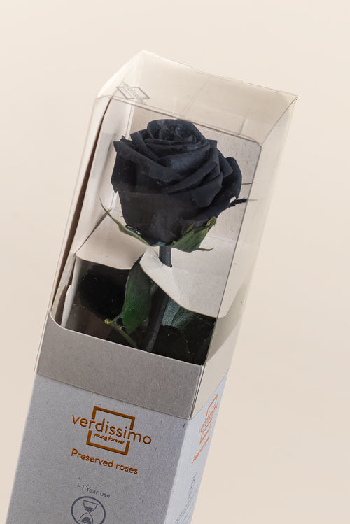 Amorosa Mini-Geschenkbox – Pack 25 u.