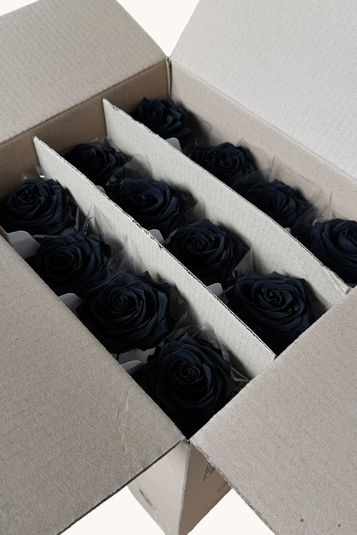 Amorosa Premium a granel - Pack 25 u.