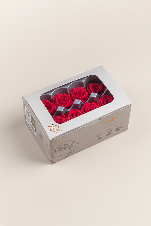 Rose Medium - Box 8 Köpfe