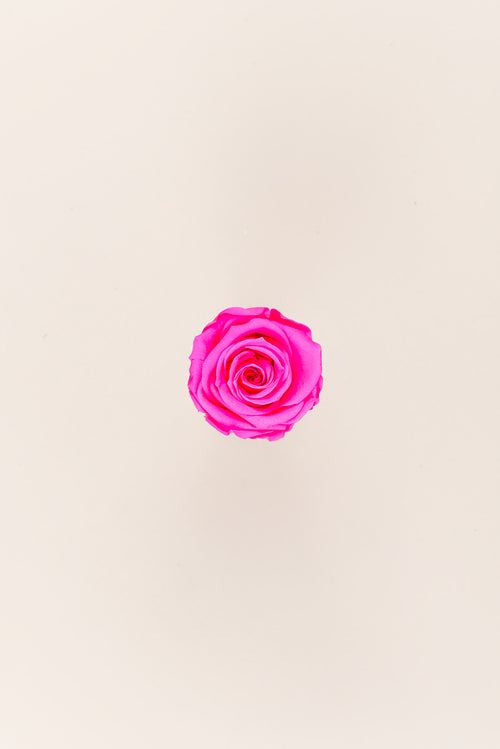 Rose médium en vrac - Paquet de 192 u.