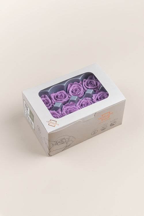 Rose Medium - Box 8 Köpfe
