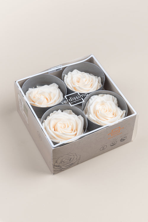 Rosa Premium - Caja de 4 cabezas