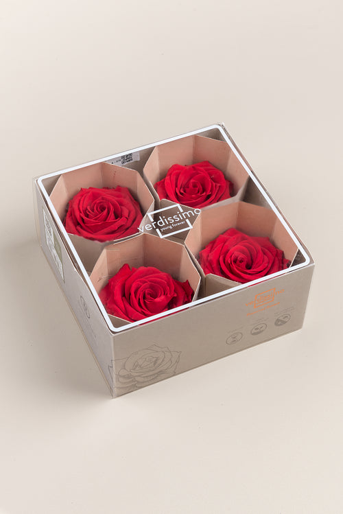 Rose Premium – Box mit 4 Köpfen