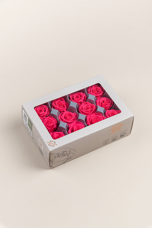 Rose Mini – Box mit 12 Rosenköpfen