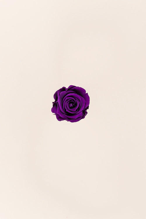 Rose Mini Bulk - Pack 288 u.
