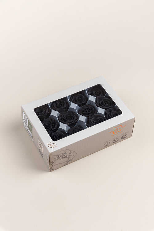 Rose Mini - Box 12 heads