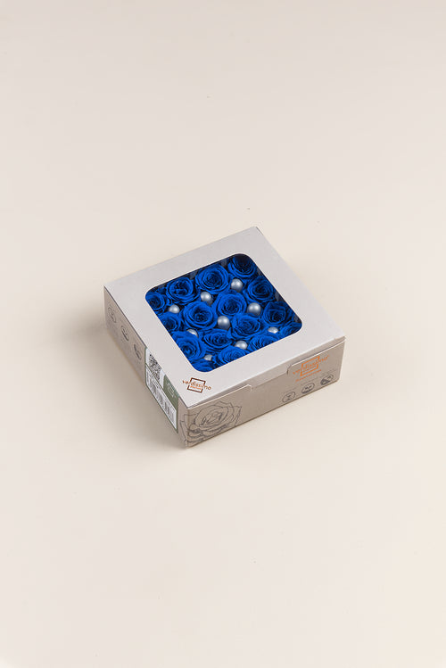 Rosa Princess - Caja 16 cabezas