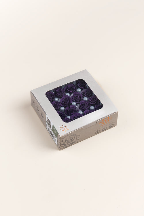 Rosa Princess - Caja 16 cabezas