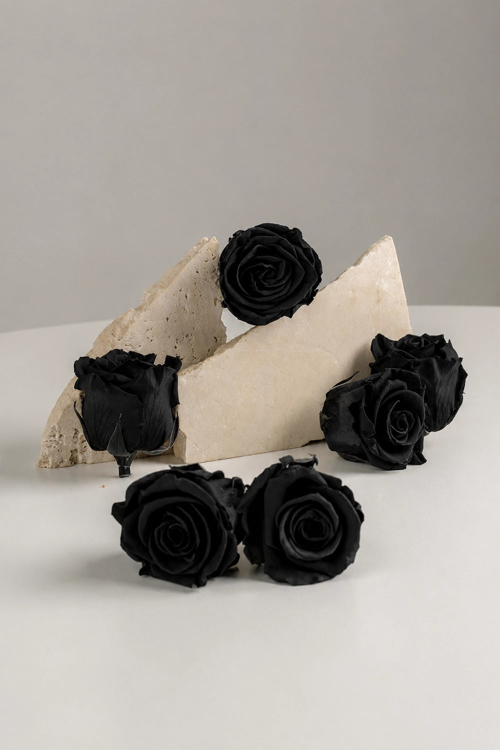 Rose Standard - Box mit 6 Köpfen