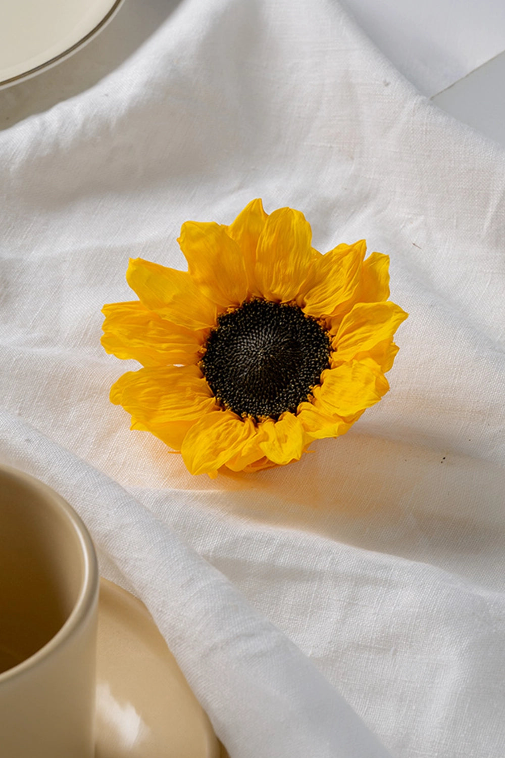 Tournesol 1 Unité
