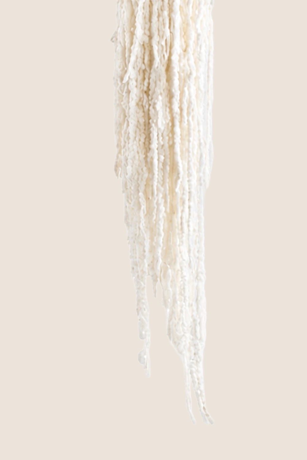 Amaranthus