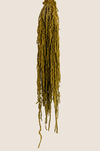 Almond Green