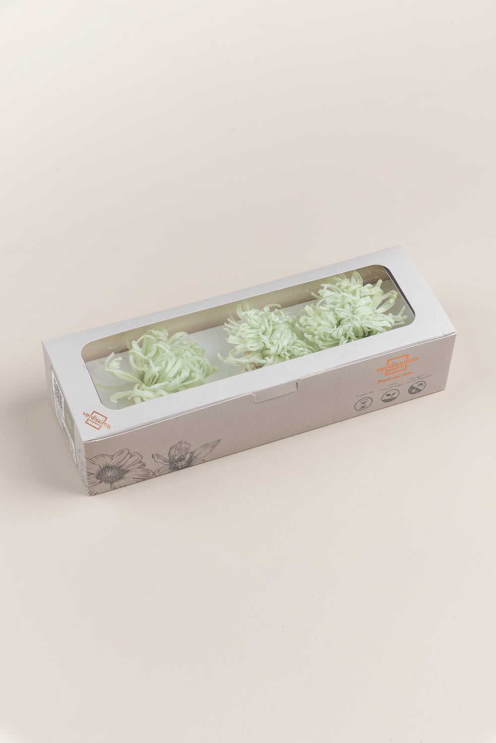 Anastasia Chrysanthemum - Box 3 heads