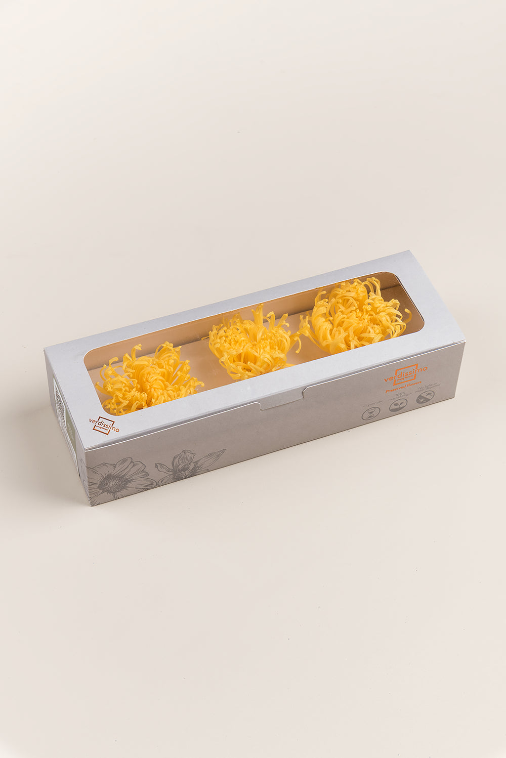 Anastasia Chrysanthemum - Box 3 heads