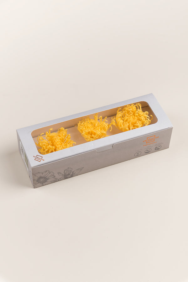 Anastasia Chrysanthemum - Caja de 3 cabezas