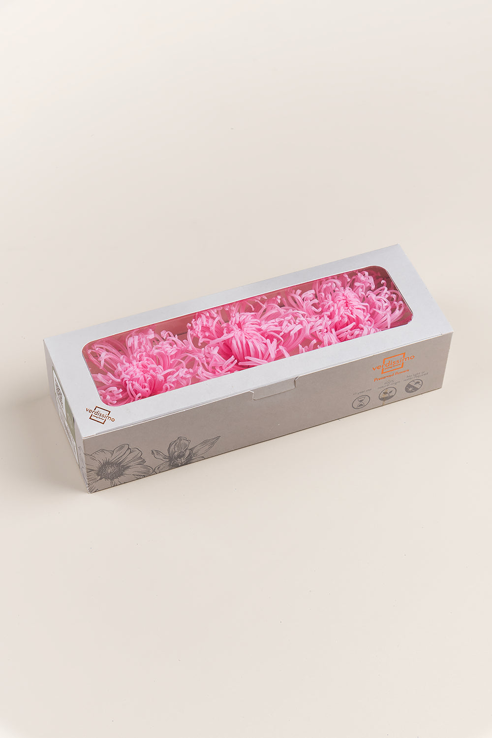 Anastasia Chrysanthemum - Box 3 heads