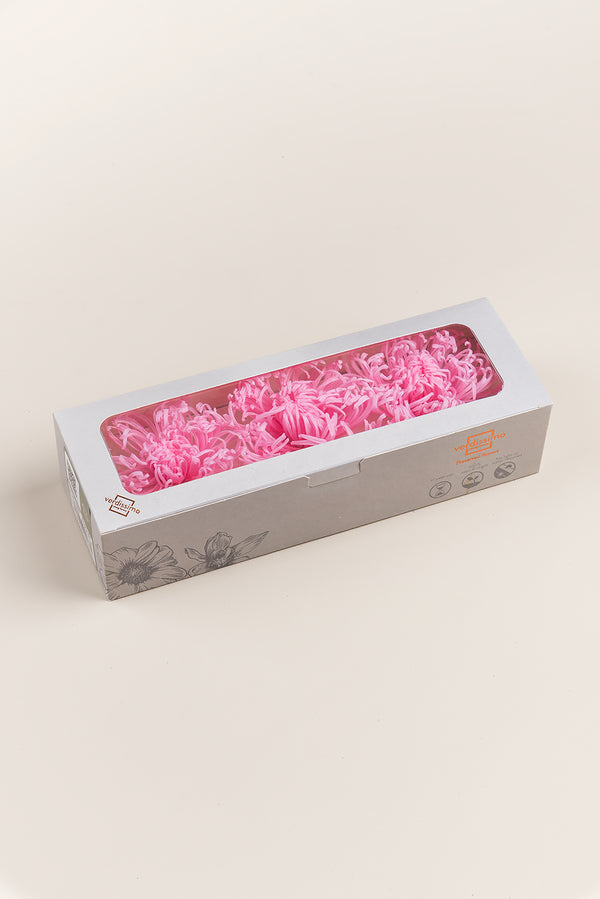 Anastasia Chrysanthemum - Caja de 3 cabezas