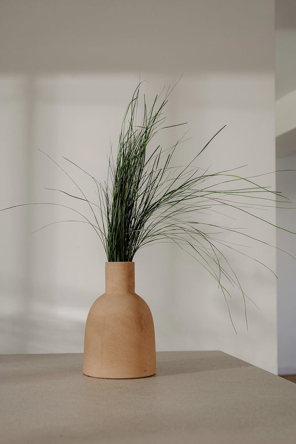 Xérophyllum asphodéloïde