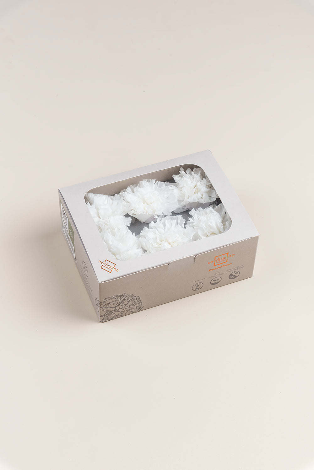 Nelke - Box mit 6 Blütenköpfen
