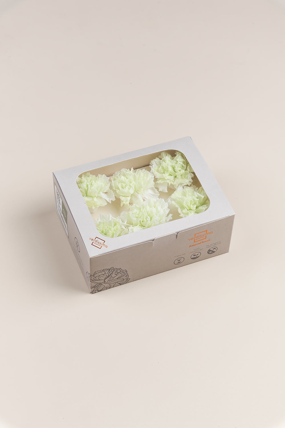 Nelke - Box mit 6 Blütenköpfen