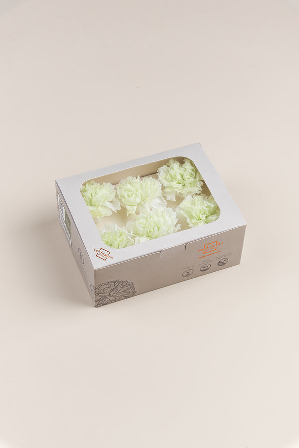 Clavel - Caja 6 cabezas