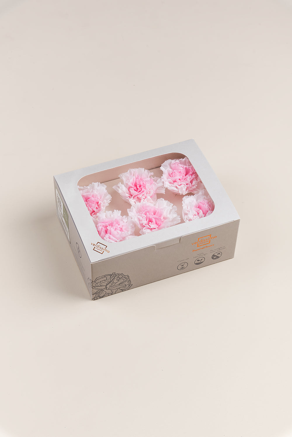 Nelke - Box mit 6 Blütenköpfen