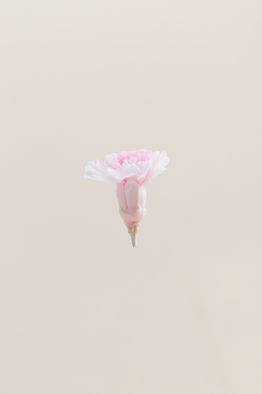 Weiß- und Pink-Duo