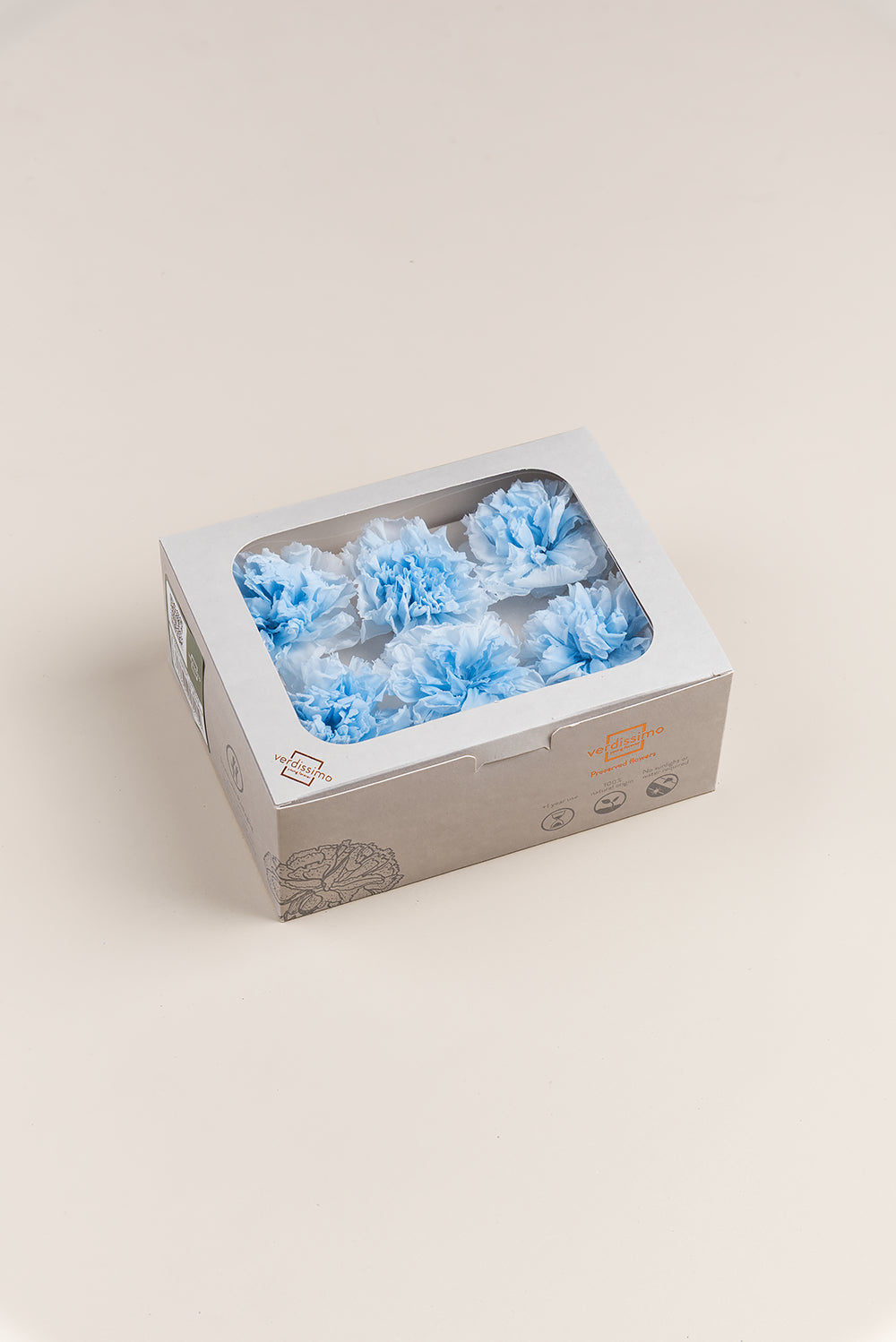 Nelke - Box mit 6 Blütenköpfen