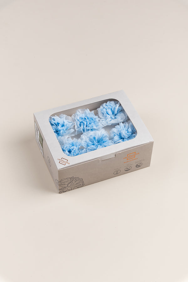 Clavel - Caja 6 cabezas