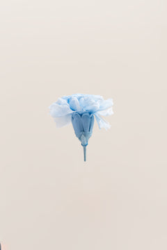Blau & Weiß Duo