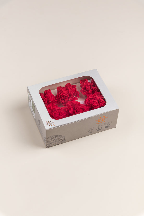 Clavel - Caja 6 cabezas