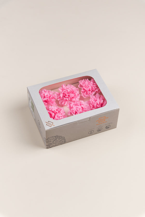 Clavel - Caja 6 cabezas