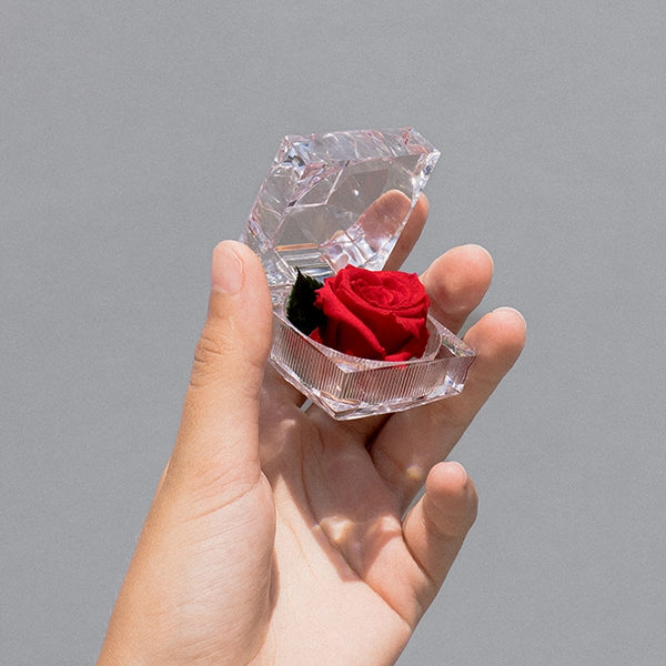 <p>Gifts</p>