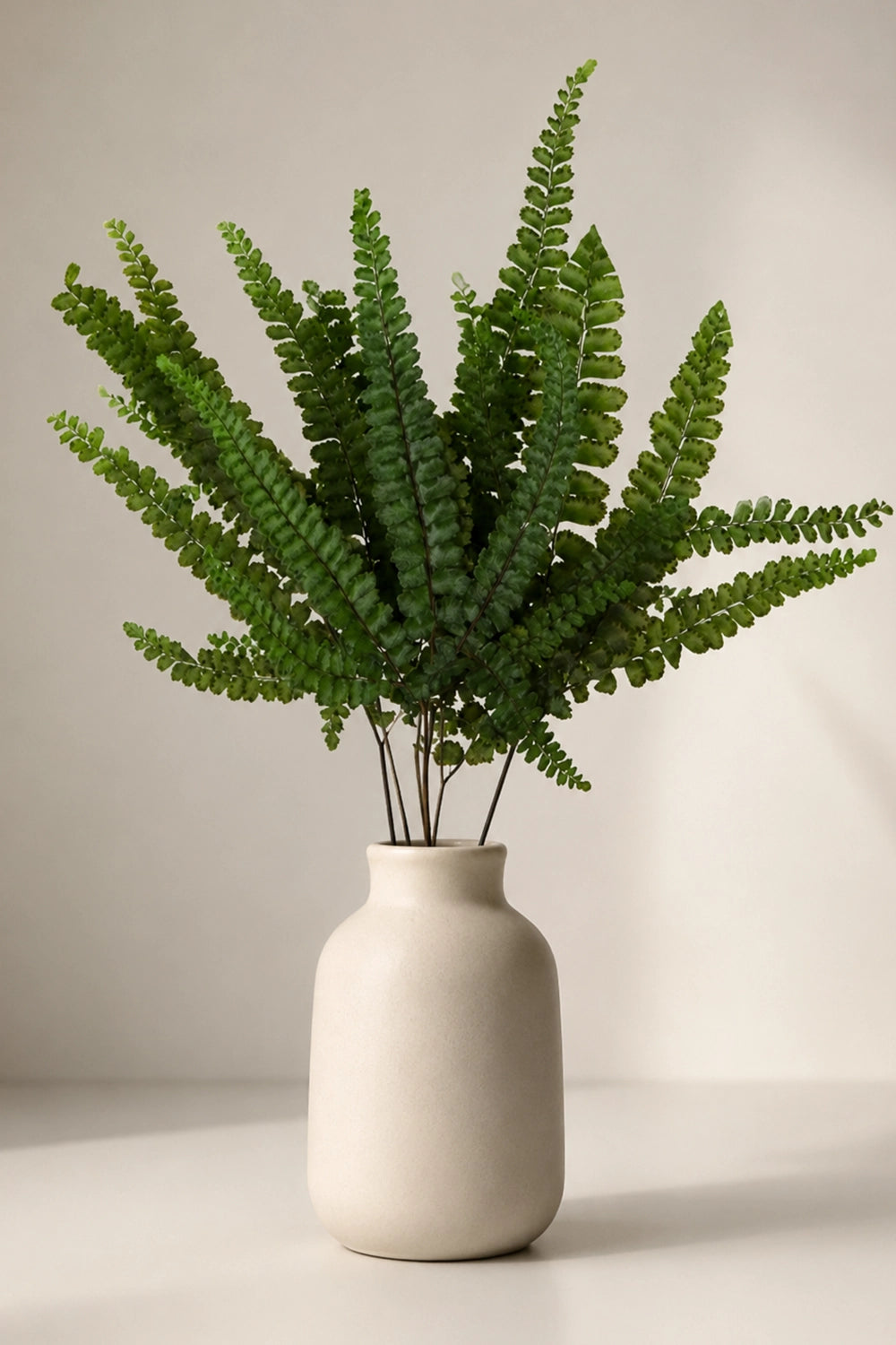 Felci Fern