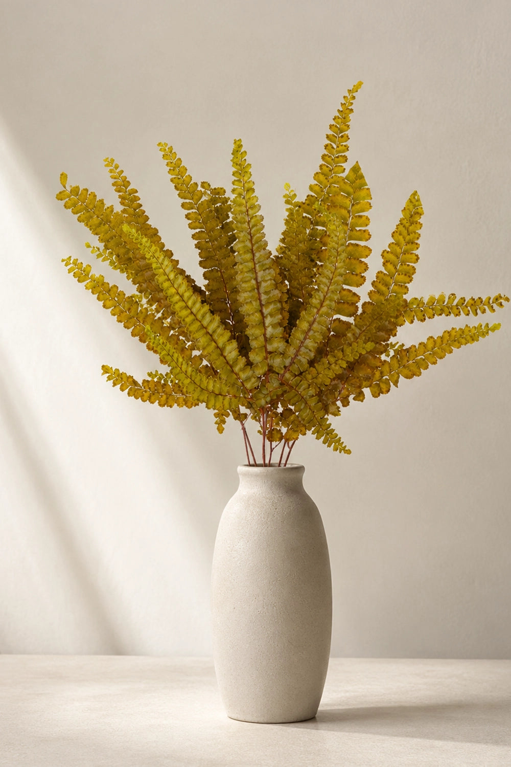 Felci Fern