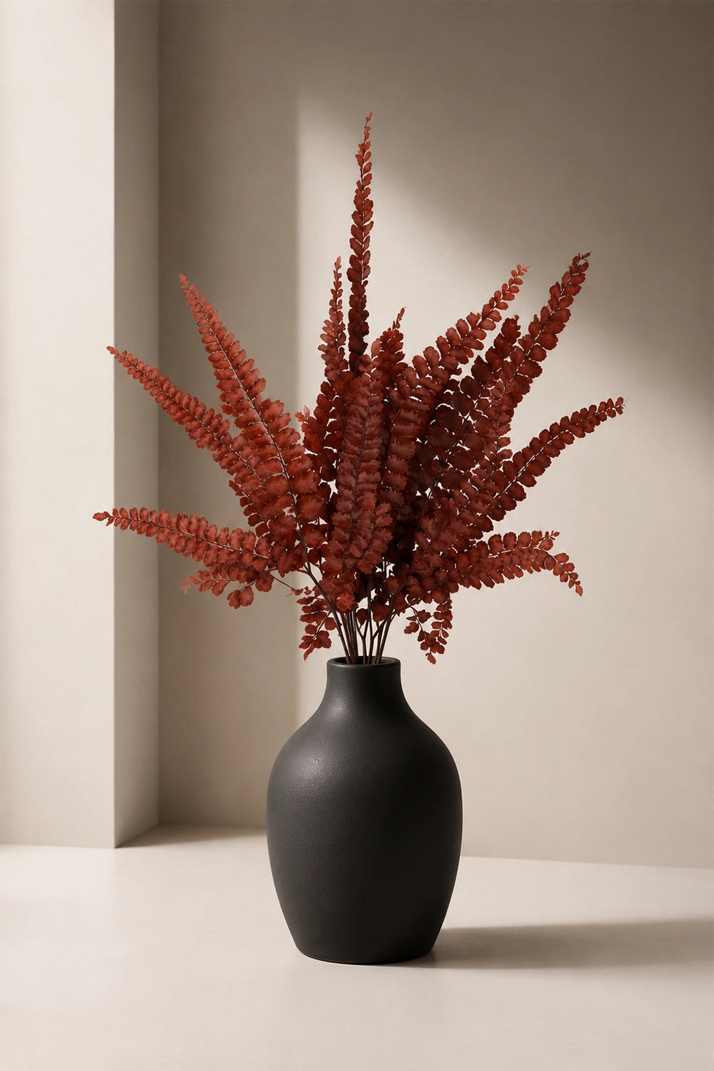 Felci Fern