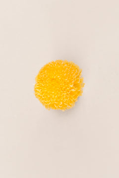 Soft Yellow